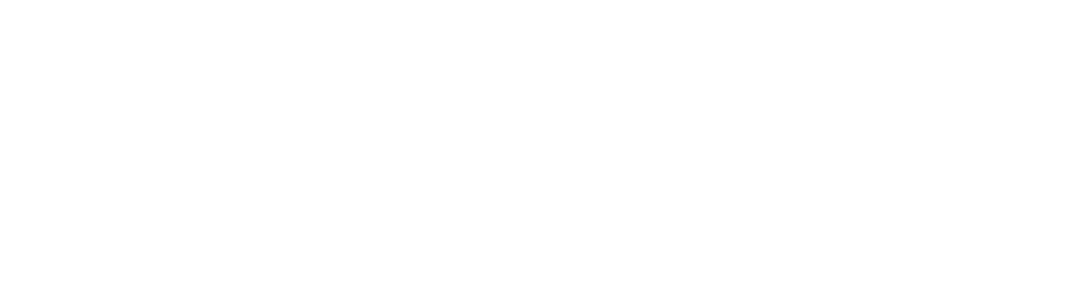 AIO OS Logo